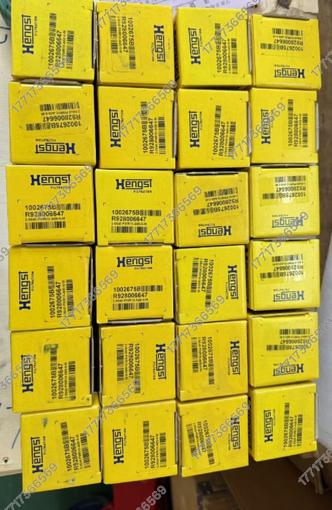 Hengst漢格斯特 R928006647 濾芯